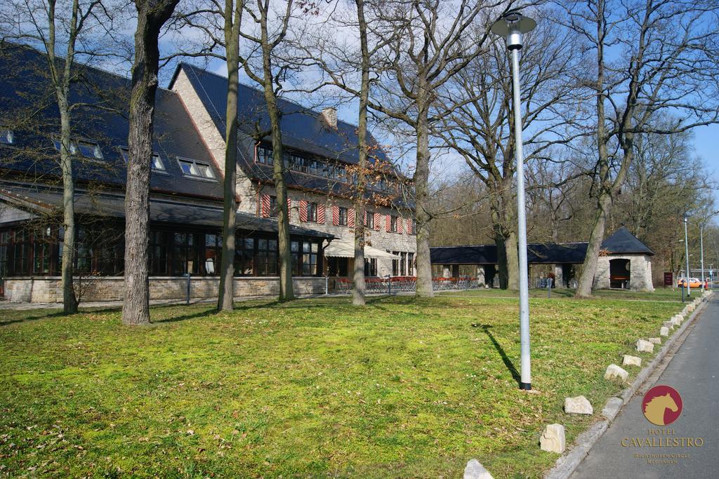 Cavallestro Classic Kitzingen Exterior foto